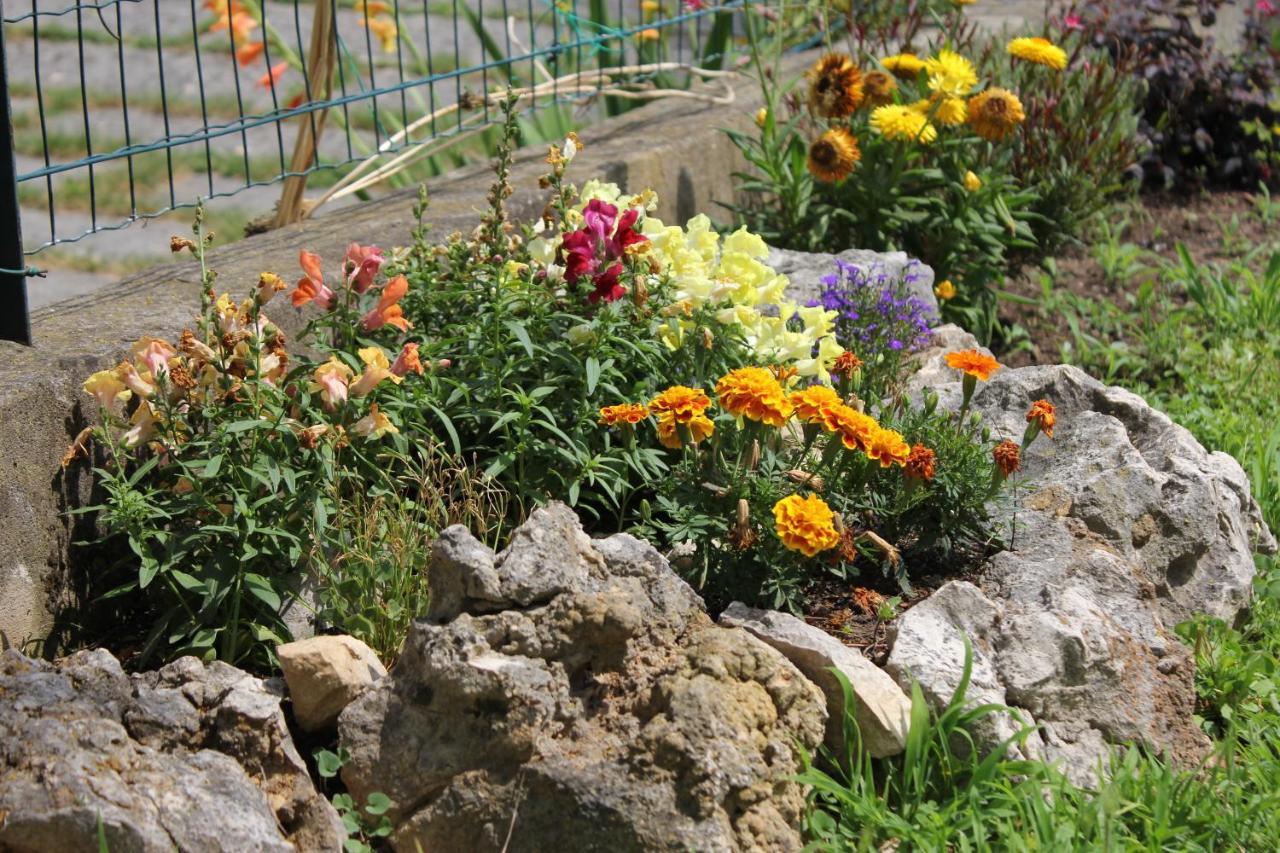 Сasa de vacaciones Casa Rosetta Valpolicella