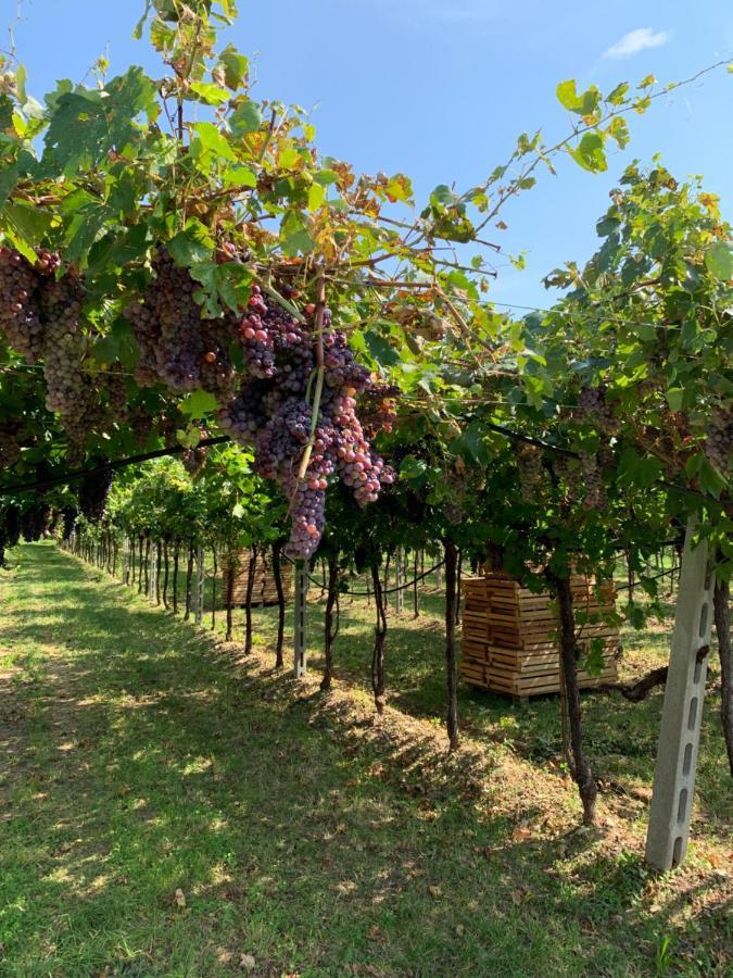 Casa Rosetta Valpolicella San Pietro in Cariano
